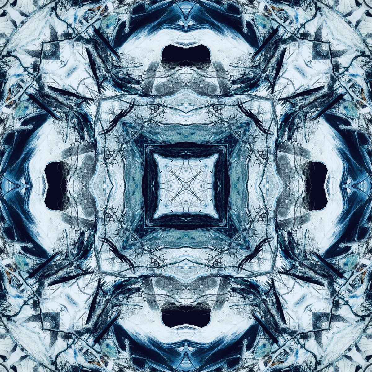 Brother12 tweet media