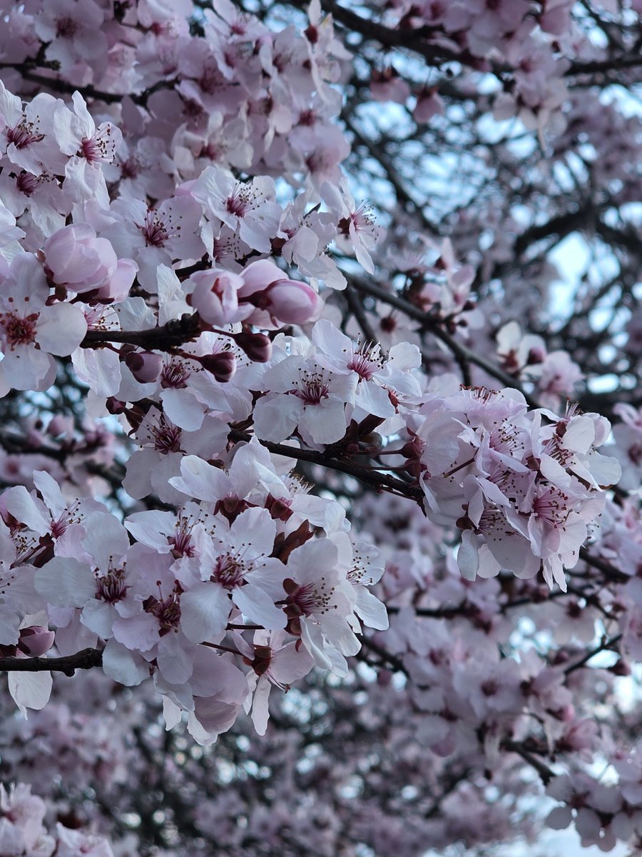 Gotitas De Sal tweet media