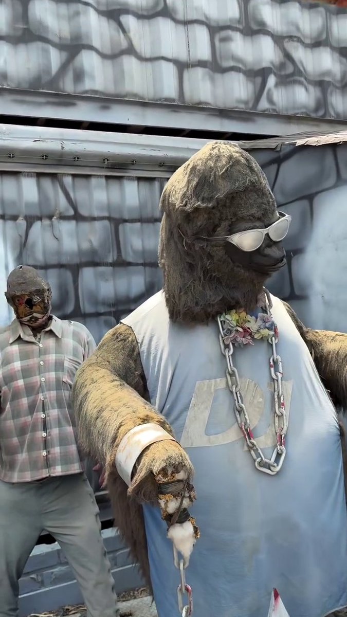 Giertje64 tweet media