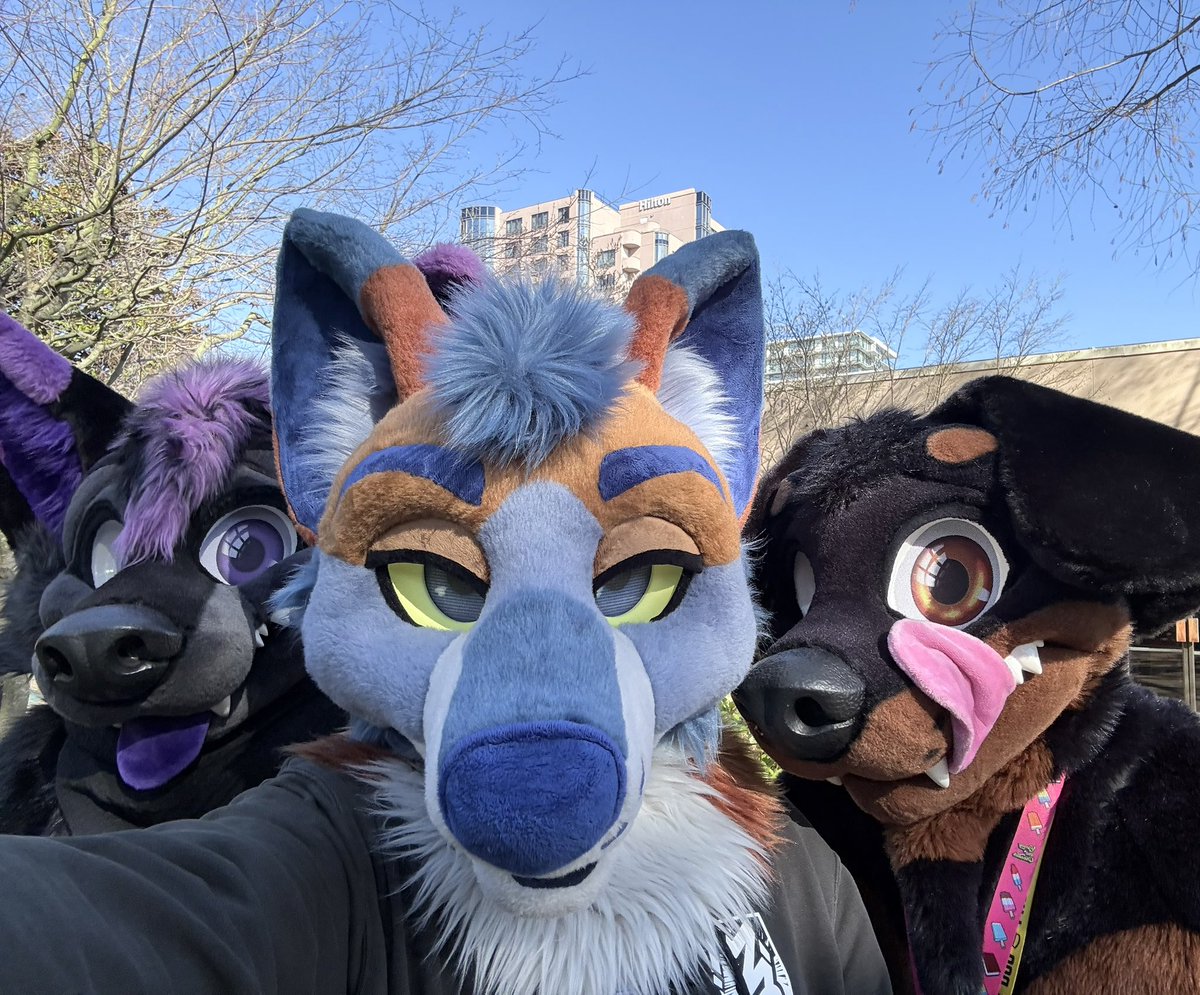 Organic Wolf 🔜 FE, TFF, FWA tweet media