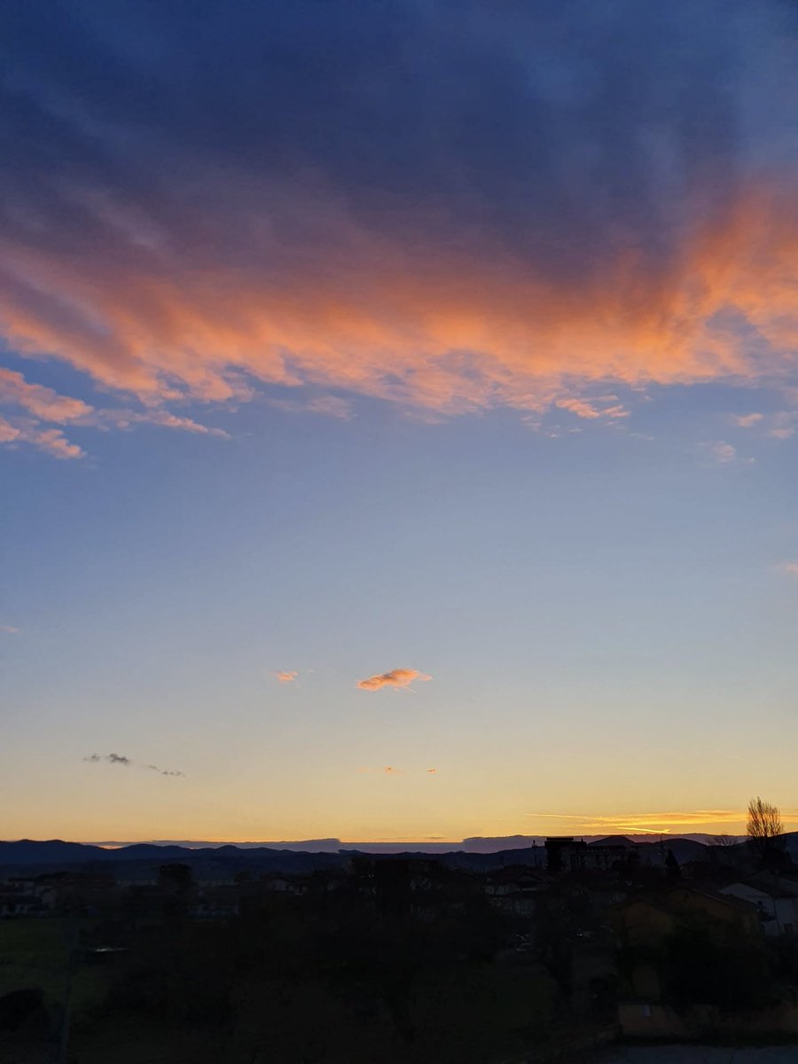 Sinopsis tweet media