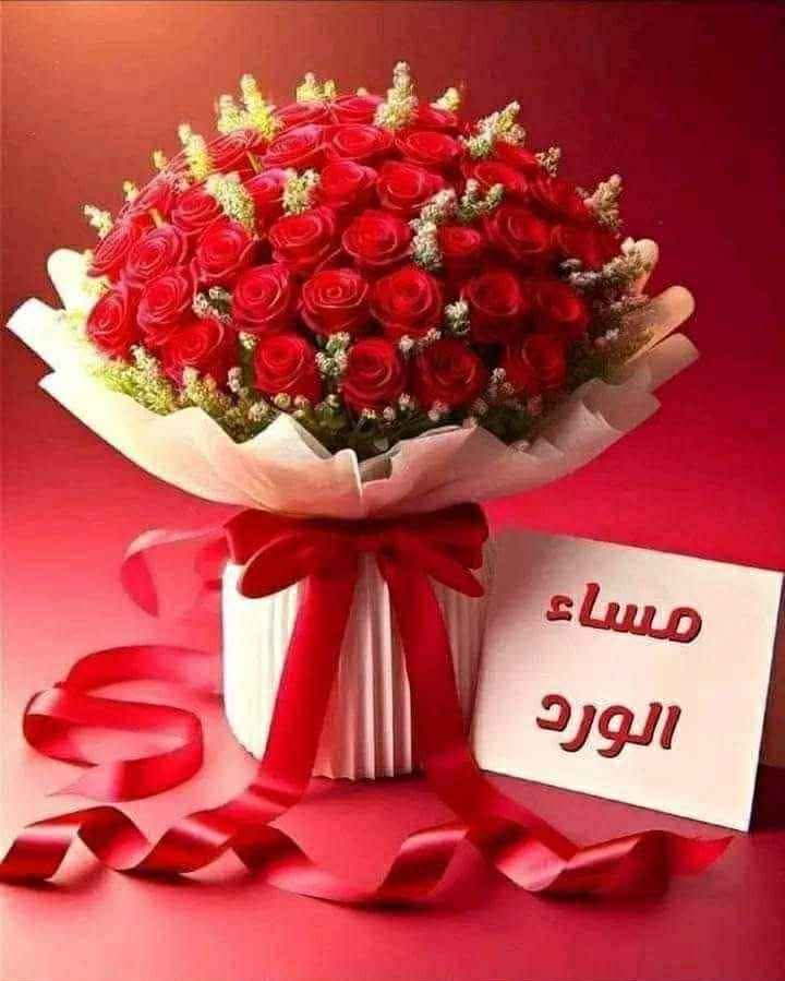 تحية لنجومنا الكرام 
 <a href="/_i1i5/">بـصــيـري</a>
<a href="/_zi5g/">⚜ حَامْـ ـد ⚜</a>
<a href="/ru7lz/">🚀🚀</a>
<a href="/rl25z1/">خالد</a>
<a href="/G__ra1/">💞 غرامك سكني 💞 🇸🇦</a>
#دعم_آلاء
<a href="/wjdy27/">وجدي</a>
<a href="/rubx711/">ᏗᏝ ᏕᏂᏗᏂᏒᎥ💫</a>
<a href="/gfv1269/">ابو عبدالعزيز🇸🇦</a>
<a href="/M3wl5u/">Majed</a>
<a href="/M97___97/">دمــــــــــــــــــار💔</a>
<a href="/lhllyy1693/">الهلالي</a>
<a href="/NNjma9774/">تابعني أتابعك</a>
<a href="/AyhabFayed/">ايهاب فايد</a>
<a href="/bkry653490/">بكري</a>
<a href="/CasRob97473/">CasRob TV</a>
<a href="/HadyAldbyany/">هادي الضبياني 🇾🇪</a>
<a href="/Ray191064Ray/">Naomi Ray🪡⛓️</a>
<a href="/BdKhald24991/">عبدالمومن خالد عبد حسن</a>
<a href="/NkyKhald89986/">الوفاء ماتغير عهد الأحرار باقي //مجاهد في سبيل الل</a>
<a href="/hamsat_ontha_x7/">هـ❣ـہمـ❣ـہسـ❣ـہهـ❣ـہ آنہثہى</a>
<a href="/bdhbdhbdh295616/">عبده</a>
<a href="/AhmedAh08136618/">▂ ▄ ▅ أحمد🦅 ▅ ▄ ▂</a>