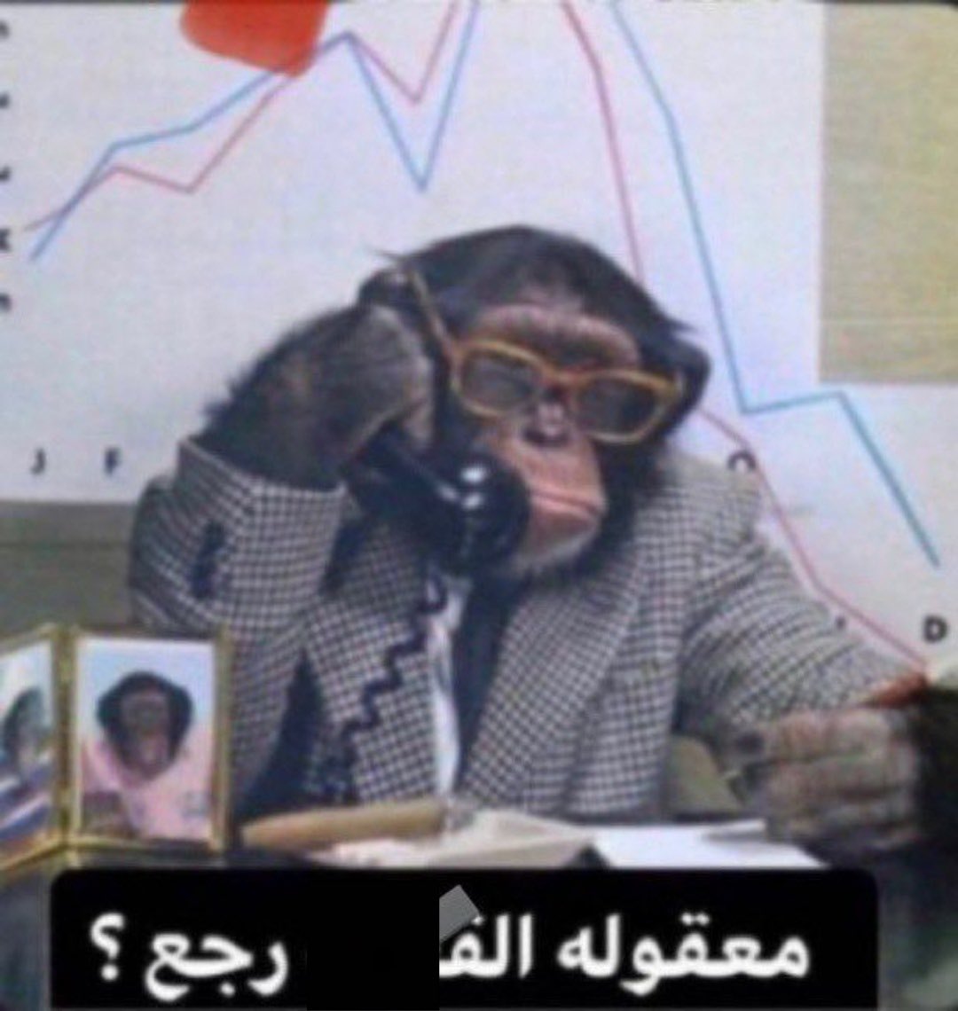 محمد tweet media