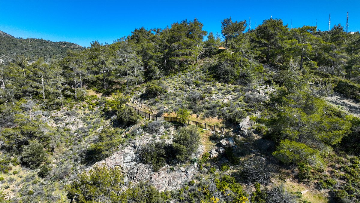 Larnaka Tourism tweet media