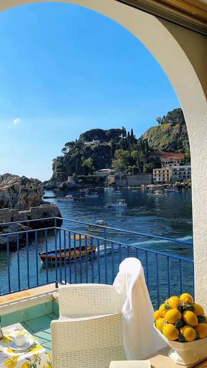 mr fabio tweet media