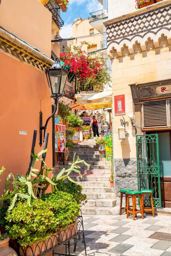 mr fabio tweet media