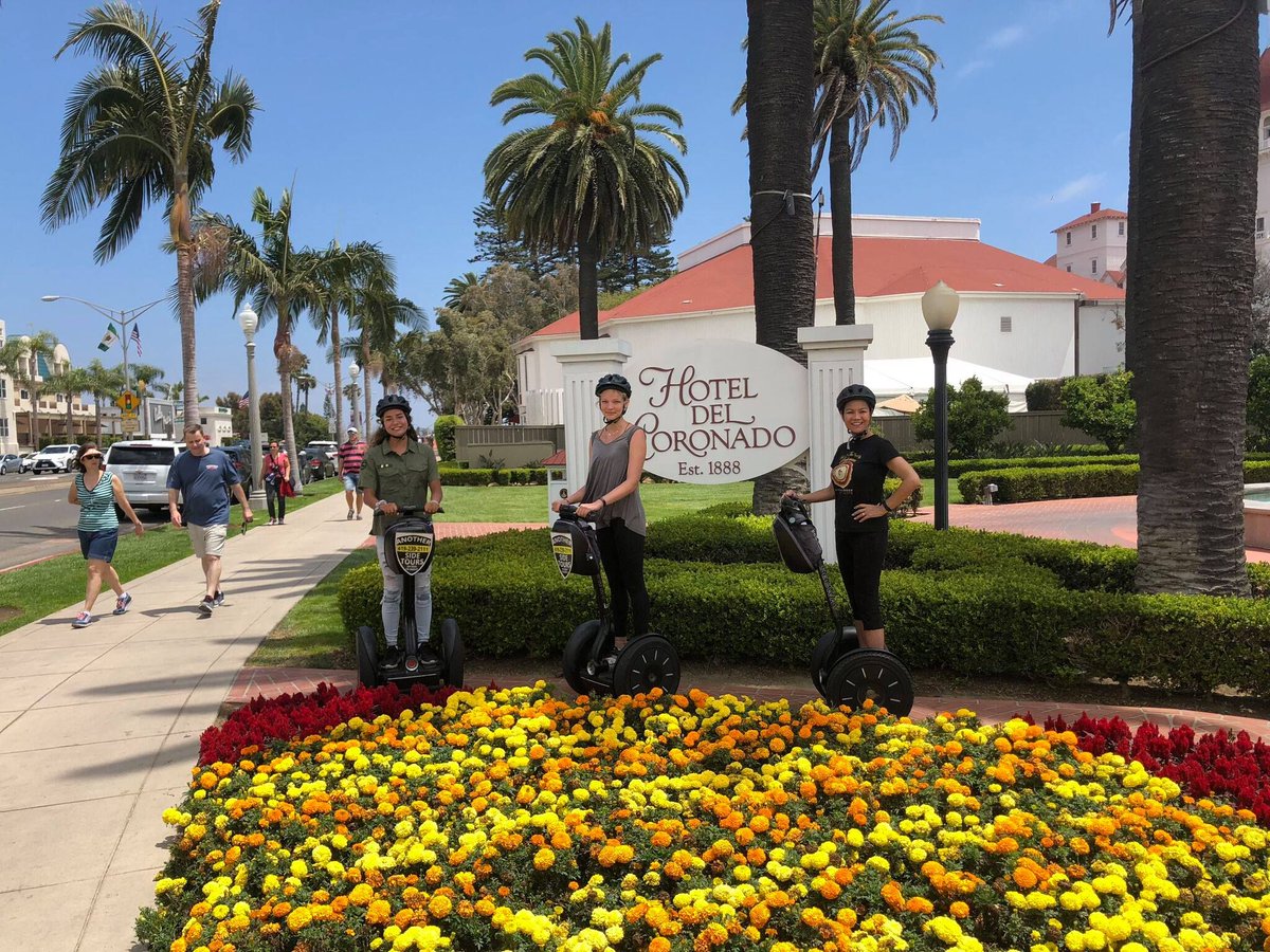 AnotherSideTour's tweet photo. A little green for St. Patrick’s Day. 🍀

From palm-lined streets to lush coastal views, there’s no shortage of green on our tours. Just another beautiful day exploring California with Another Side Tours.

#AnotherSideTours #StPatricksDay #ExploreCalifornia #SanDiegoTours https://t.co/5NjFcZMZd7