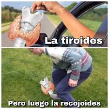 Ana_LaPatata (@ymuchosmemes) on Twitter photo 