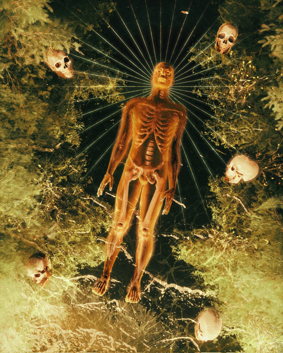 ADRIFT

"Suspended in a quiet collapse—neither falling nor rising, only fading into the vast sea of darkness"

#darkart #fantasyart #painting #3dartist #obscureart