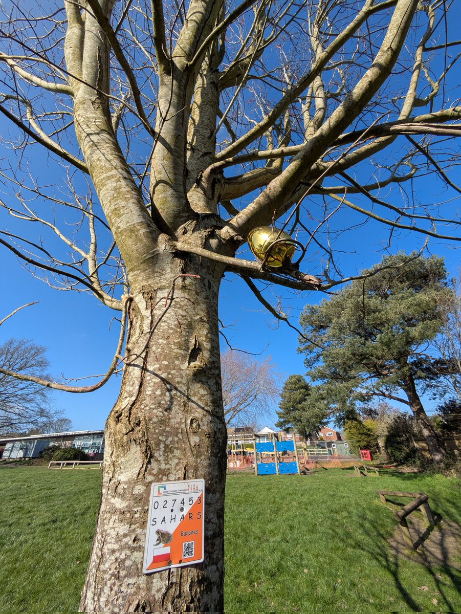 Cross-Curricular Orienteering tweet media