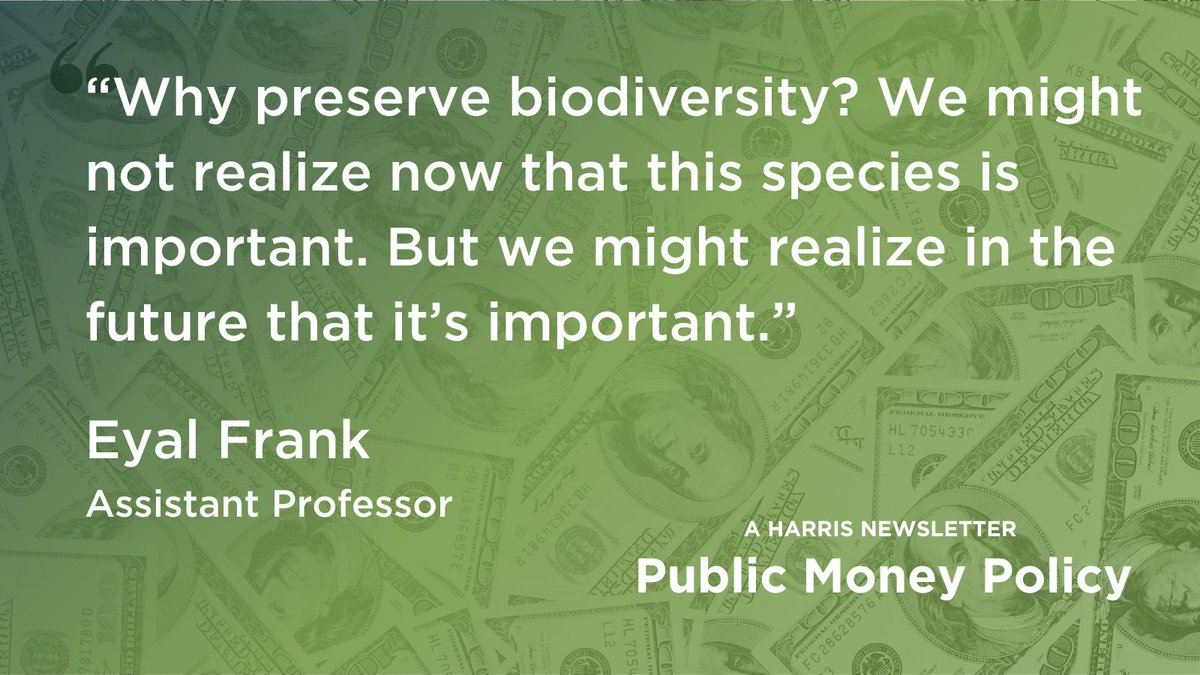 Harris Policy tweet media
