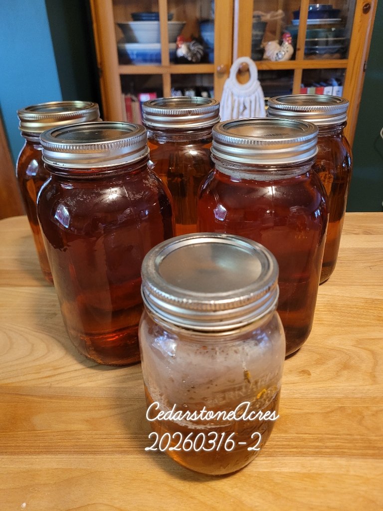 Cedarstone Acres 🇨🇦🍁🇨🇦 tweet media