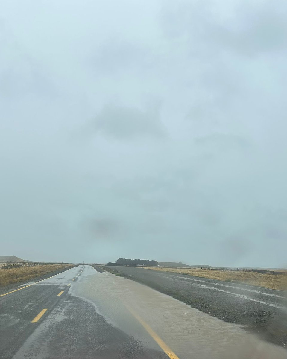 MOP Magallanes tweet media