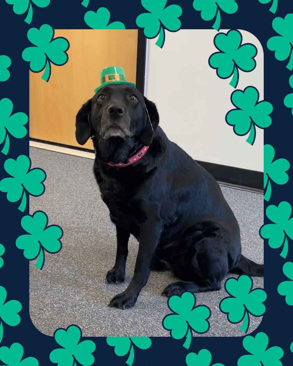 Perkins Library tweet media