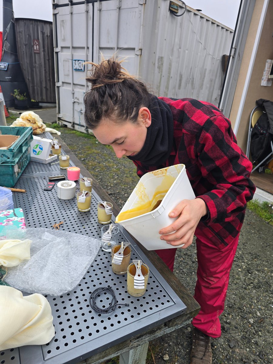 Rooted in Hull tweet media