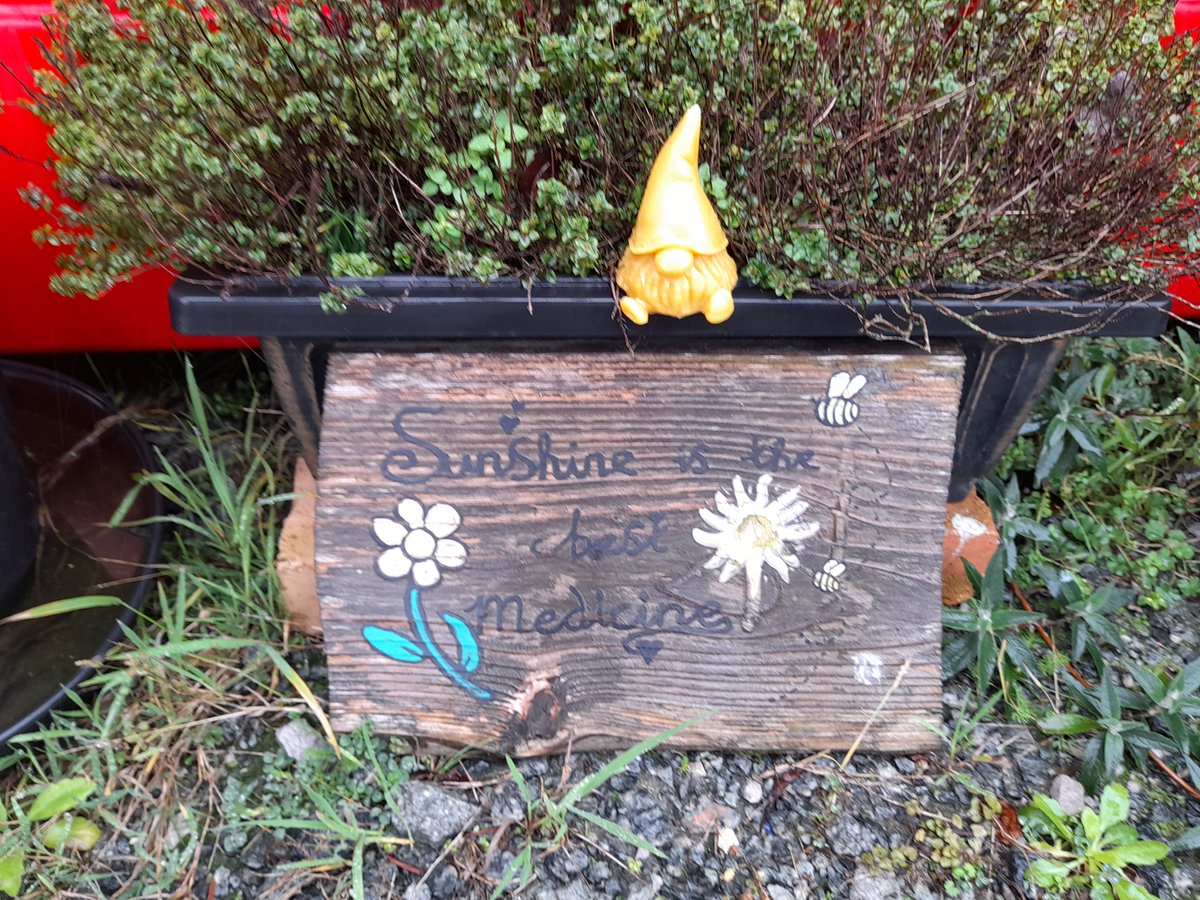 Rooted in Hull tweet media