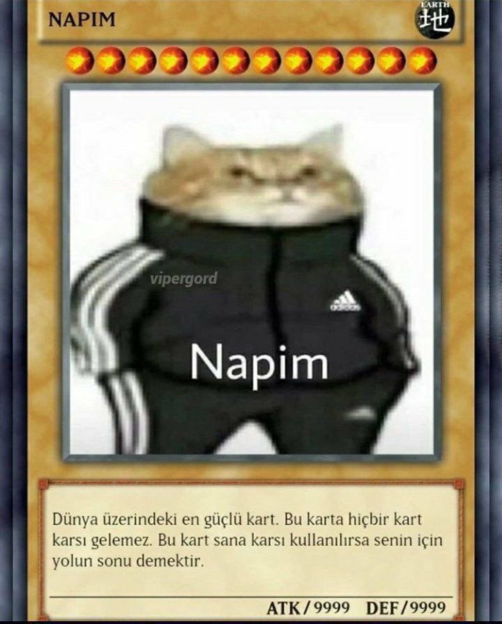 RHEA☀️✨ tweet media