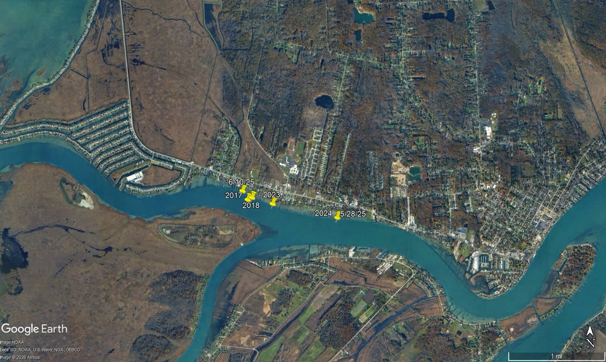 Andrew Briggs tweet media