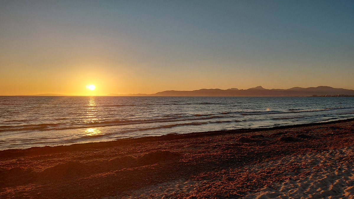 El temps IB3 tweet media