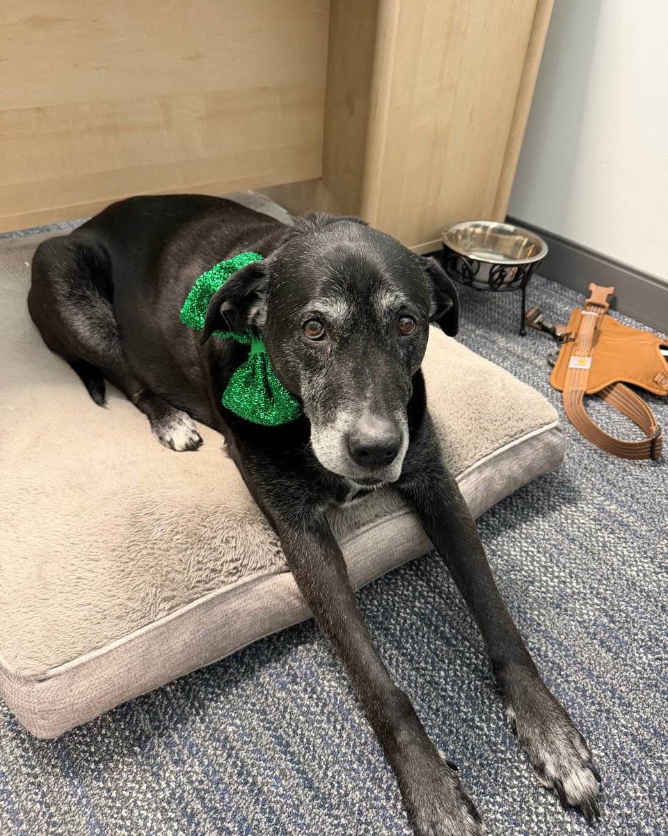 C&J Bus Lines tweet media