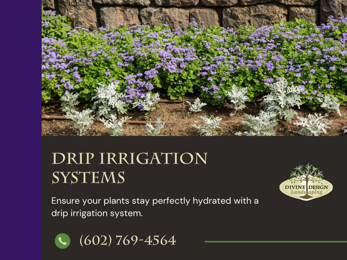 Divine Design Landscaping tweet media