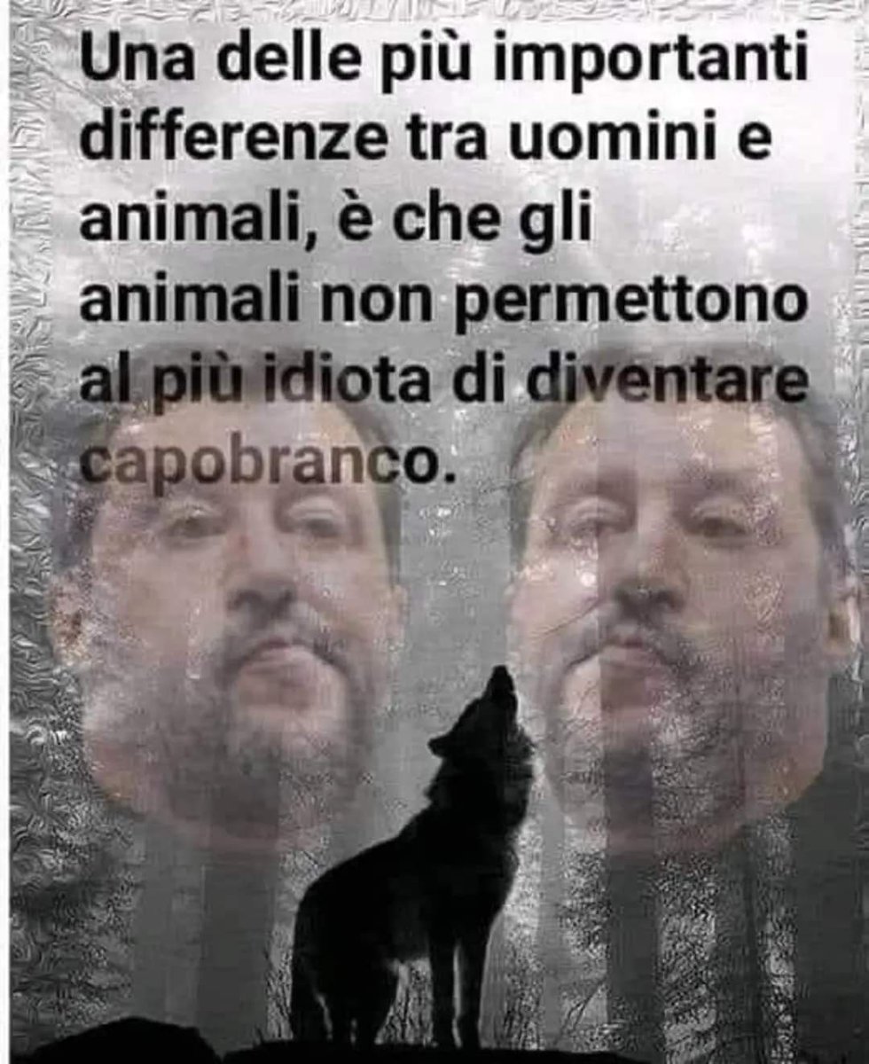IVANCONF's tweet photo. @forza_italia @Antonio_Tajani È come fidarsi di #Giuda !!!! https://t.co/sHMggabHbb