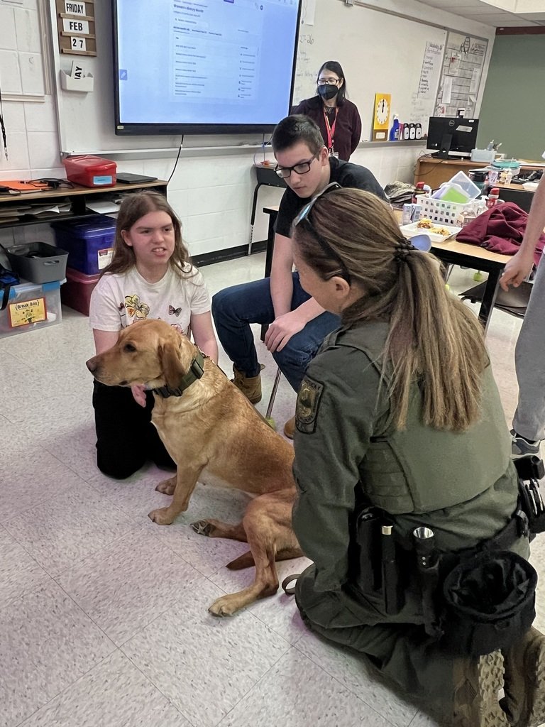 Carroll County Schools, KY tweet media