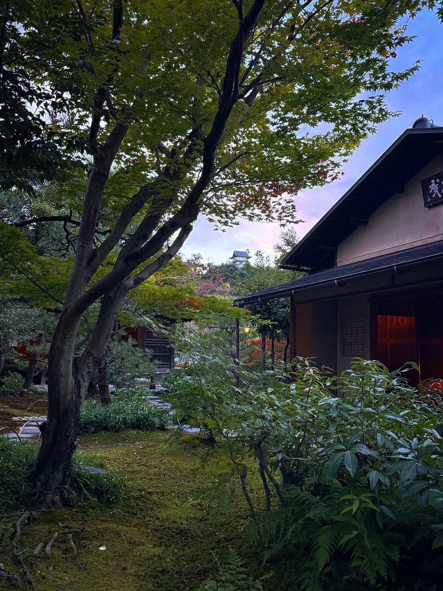 oniwastagram's tweet photo. 📸有楽苑・国宝茶室「如庵」
(愛知県犬山市／国宝)

名鉄は明治村だけじゃない、有楽苑は「日本建築」ミュージアム——

国宝『犬山城』隣の日本庭園は、織田信長の弟で茶人・織田有楽斎の“国宝三名席”を筆頭に数多くの歴史的建造物と和風建築が。建築＆庭園の設計監修は『八勝館』の建築家・堀口捨己。 https://t.co/0z3nwQmJly