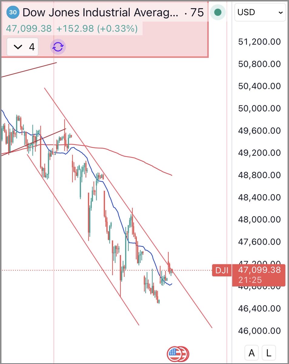 Nifty Buddy tweet media