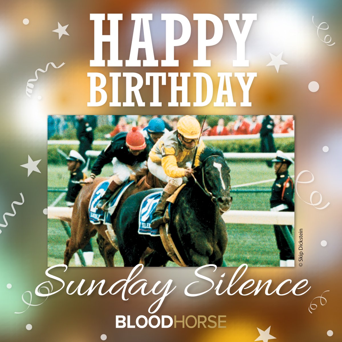 BloodHorse tweet media