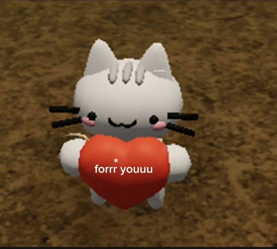 NANAV🐼 tweet media