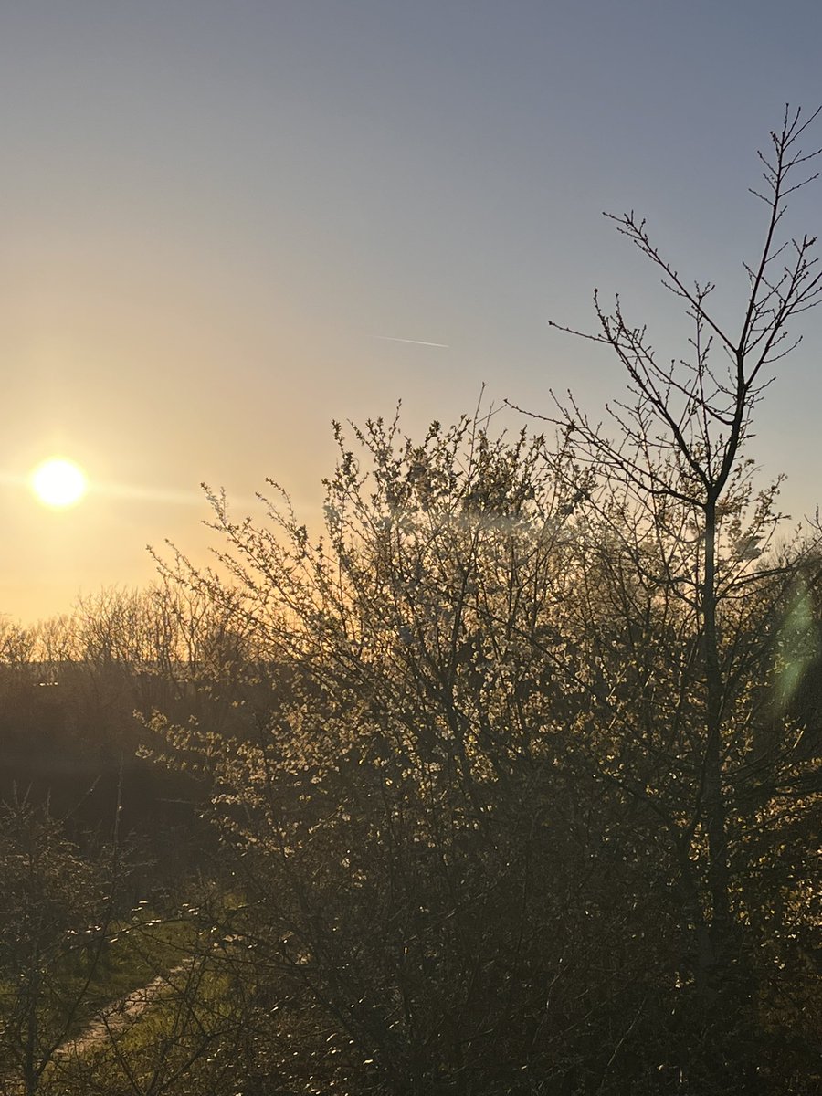 Rosie P 🦇 🦎 🕷️ 🦭 🐌 🍃🌳🚲💧 tweet media