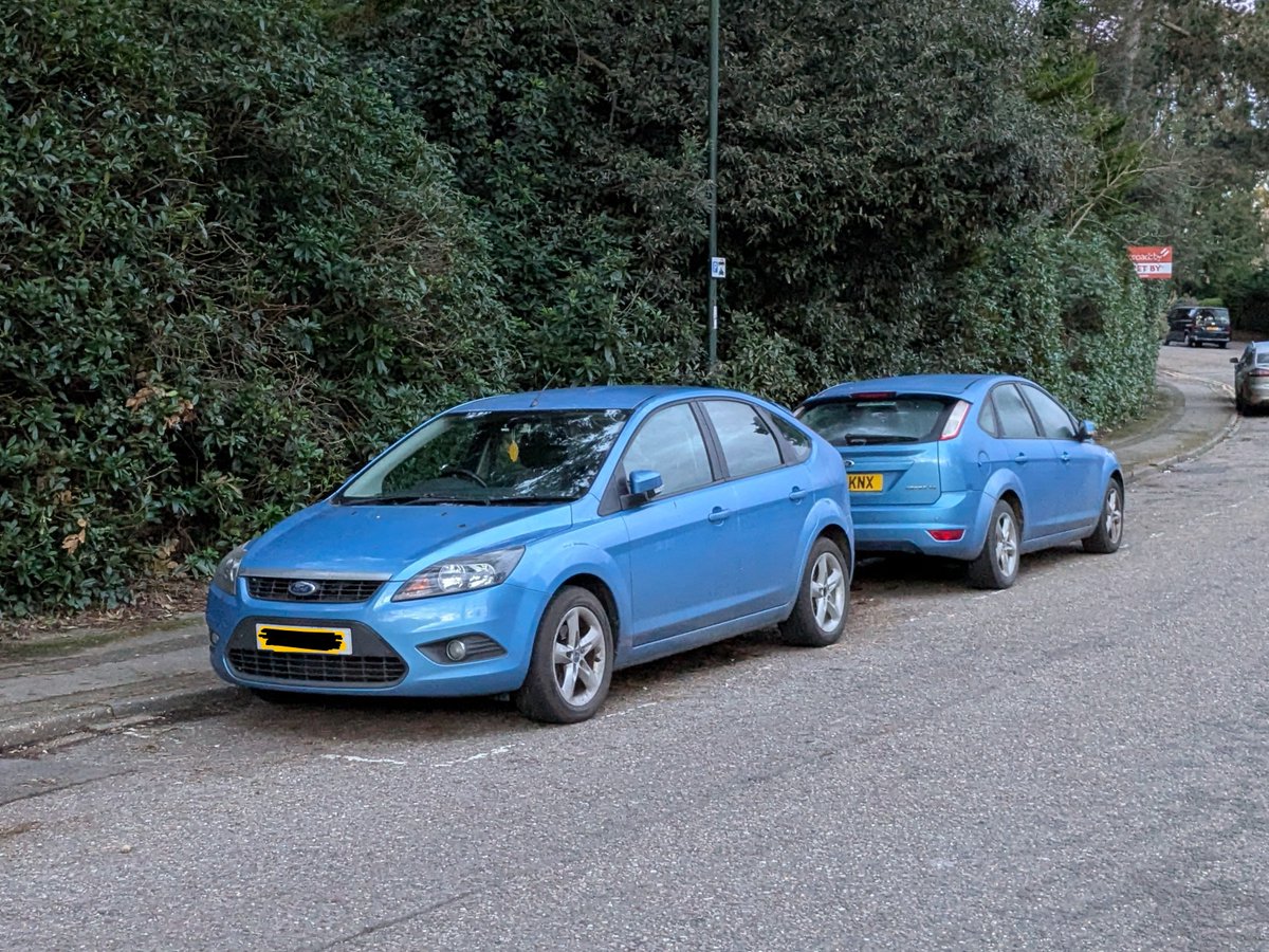 Norrington Bee tweet media