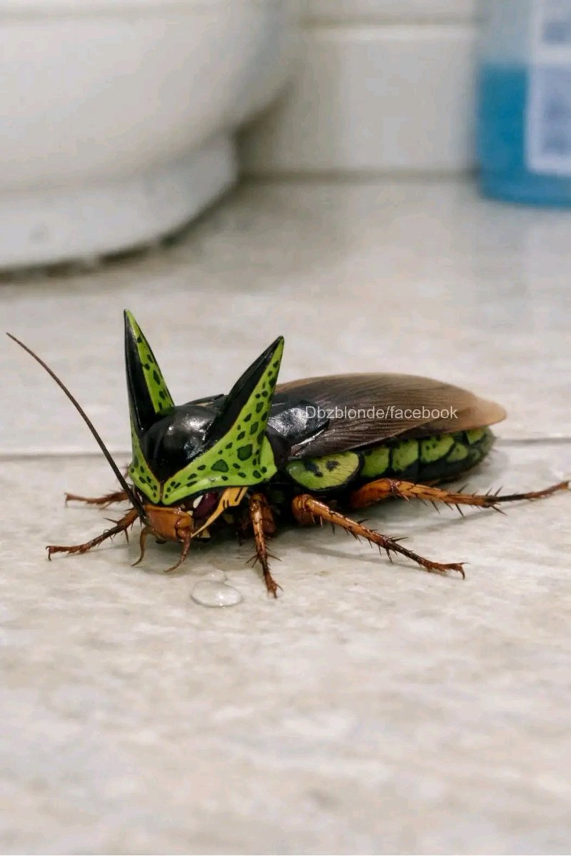 Harley Anime✨ tweet media