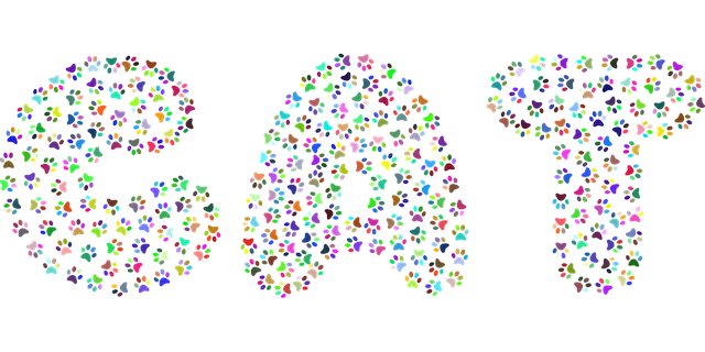 Sara Panda tweet media