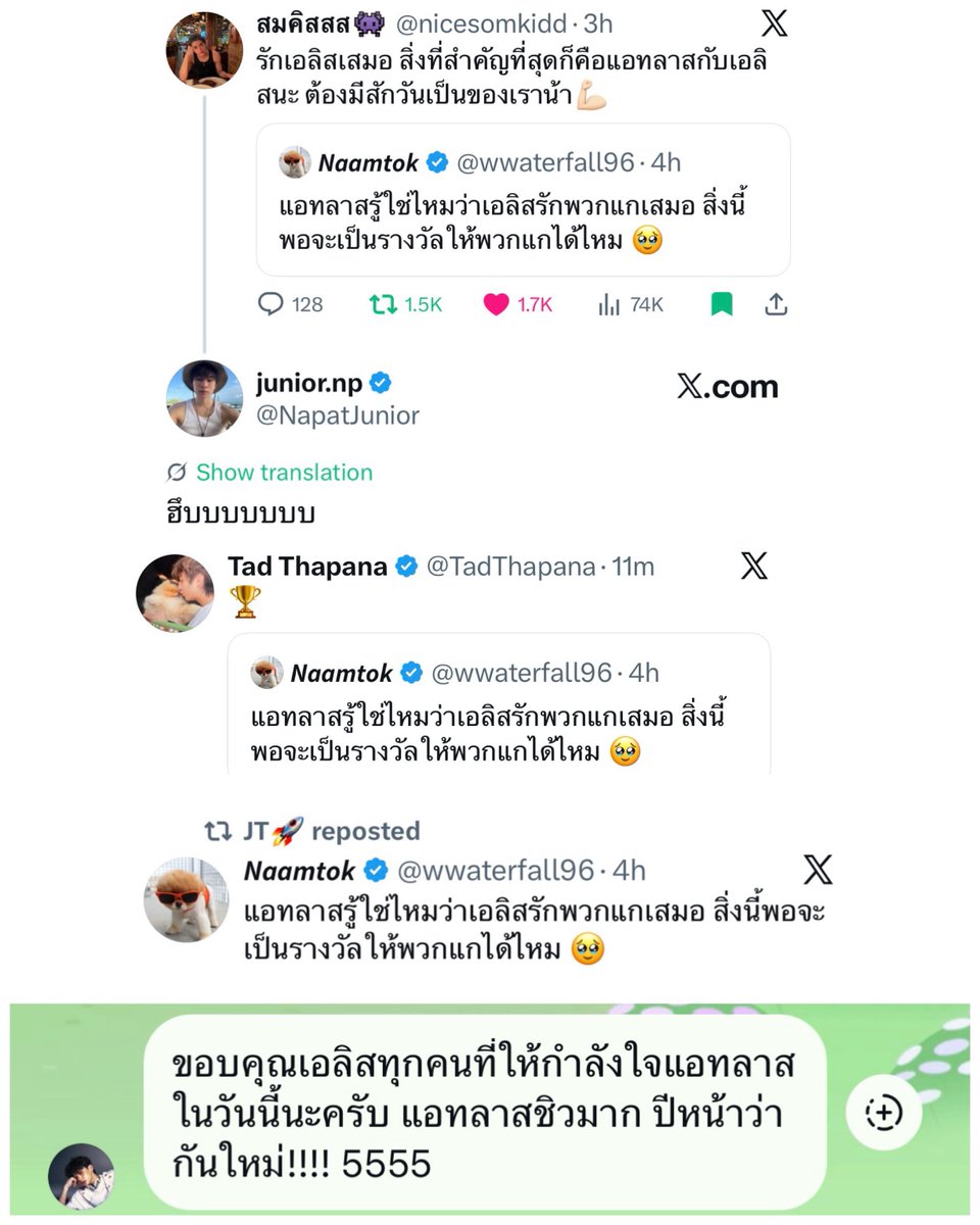 𝙉𝙖𝙖𝙢𝙩𝙤𝙠 tweet media