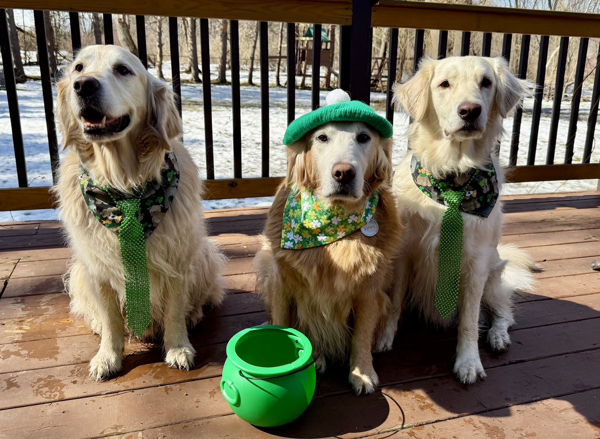 Mike Frezon tweet media