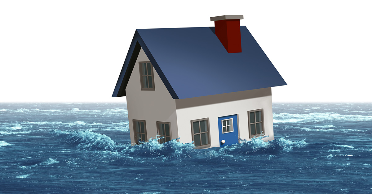 benutech tweet media