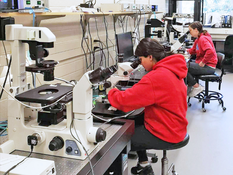 College of Biological Science tweet media