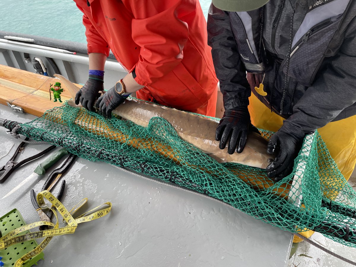 Andrew Briggs tweet media