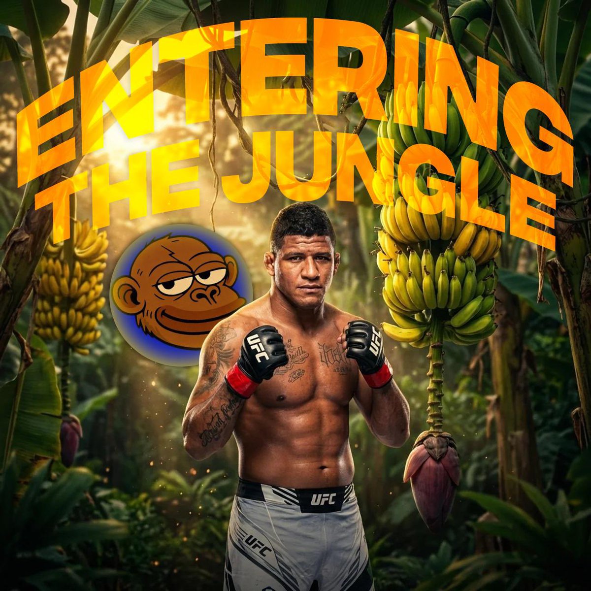 GILBERT BURNS DURINHO tweet media