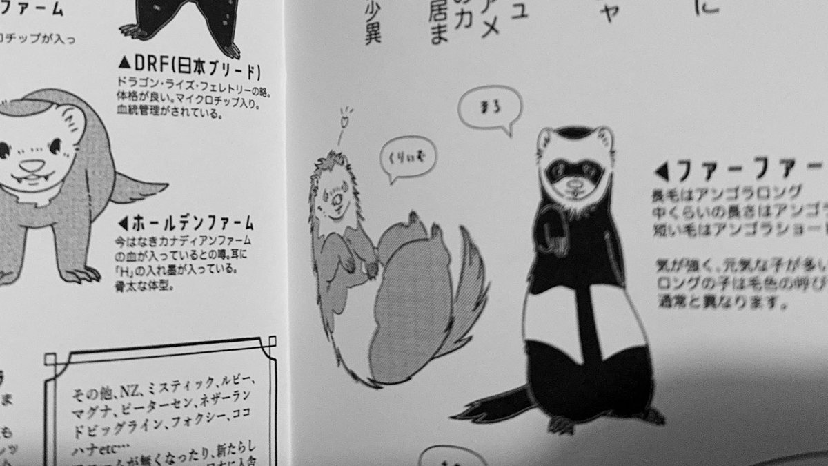 kukkuxmogu's tweet photo. こちらはコピー本です。
50ページ、
無事に仕上がって欲しい…🥱💤

#フェレット https://t.co/otVNGY7qQe