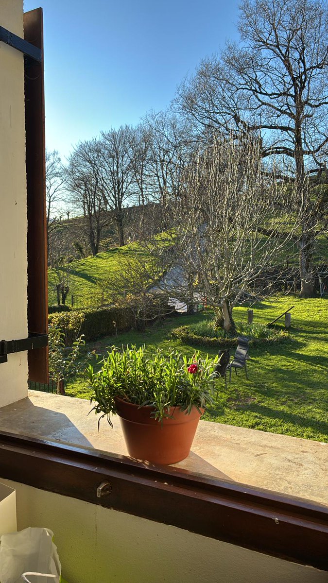 Begoña Zabaleta tweet media