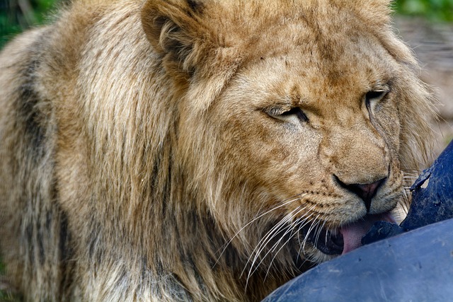 Philip Boehm tweet media