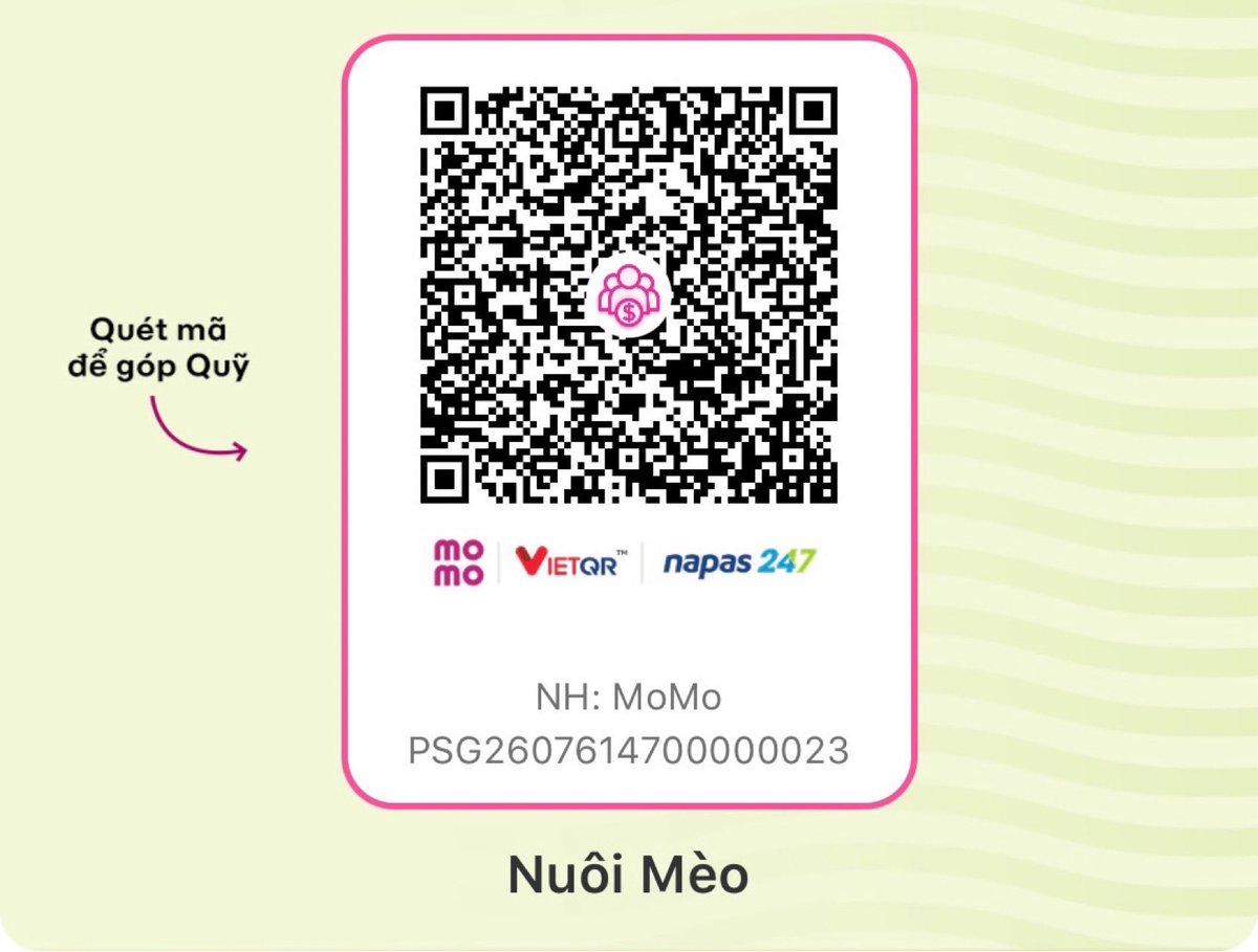 Mèo Chubby tweet media