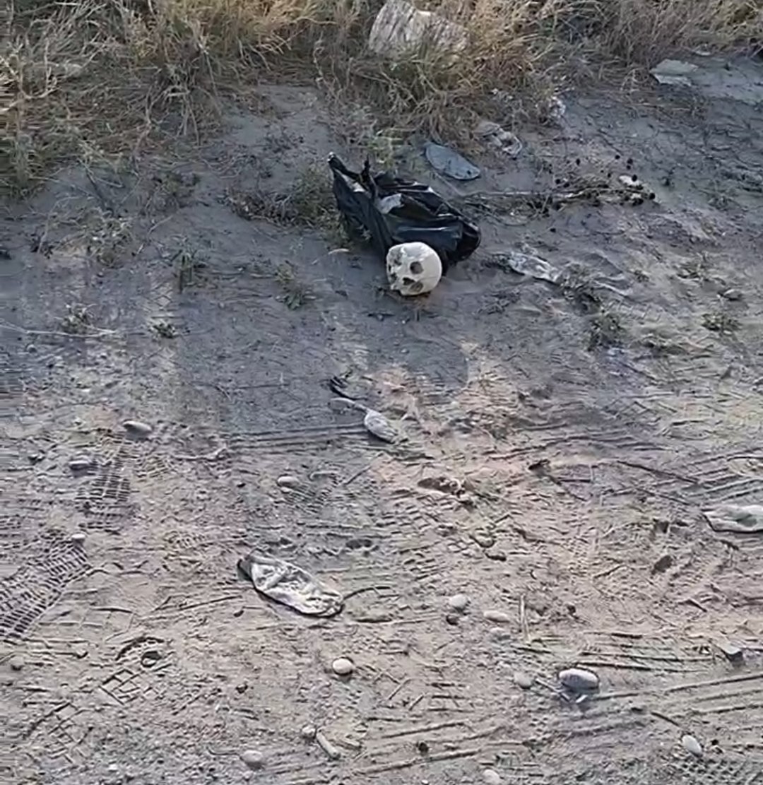 VALOR POR TAMAULIPAS tweet media