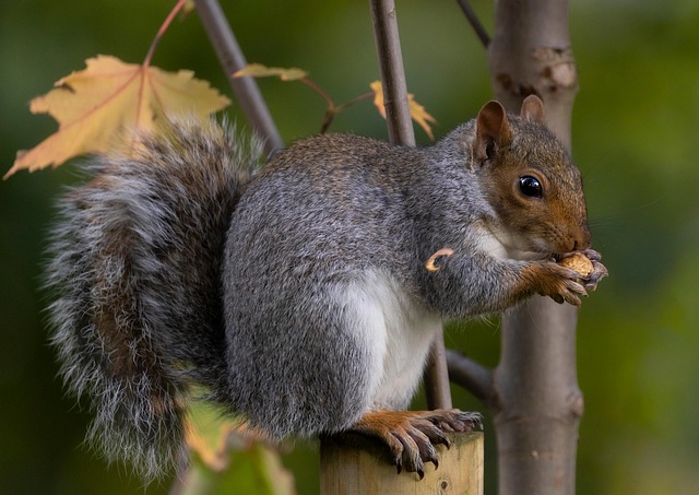 Kevin Taylor tweet media