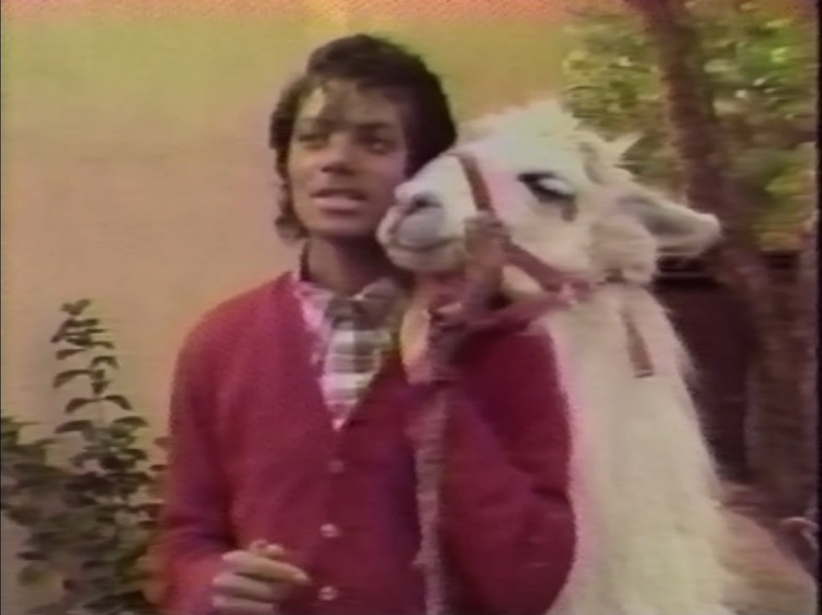 🤍ⓒⓞⓢⓜⓘⓒ🤍 tweet media