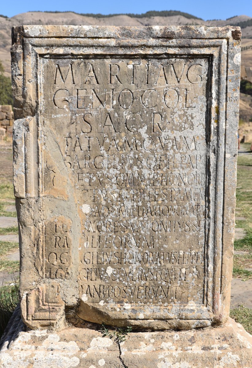 Following Hadrian tweet media