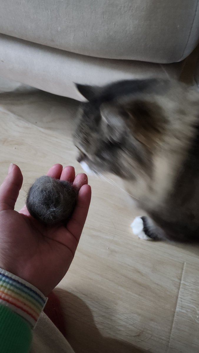 🍨다즈🍨 tweet media